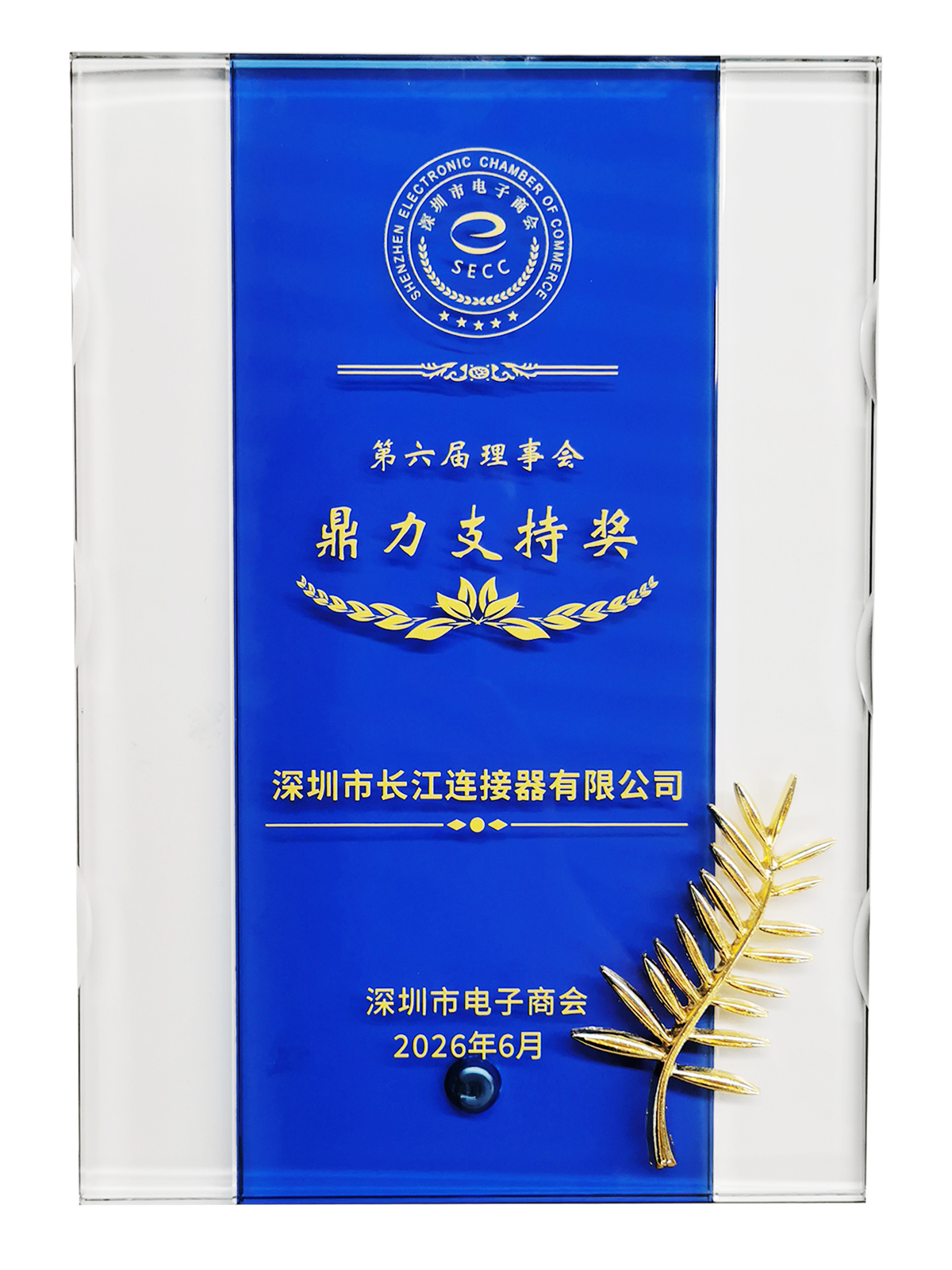 "Strong Support Award" of the 6th Council